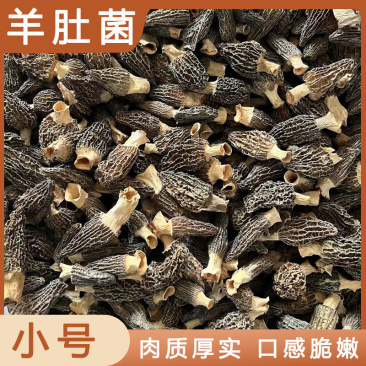 精品羊肚菌，规格齐全，品质保证，欢迎客户咨询