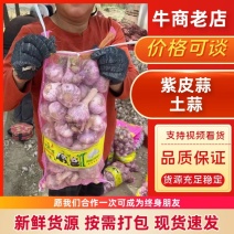 好货推荐河南紫皮蒜土蒜一手货源全国发货保质保量