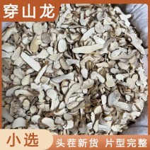 穿山龙，各种规格穿山龙，产地直销，大货供应，物美价廉