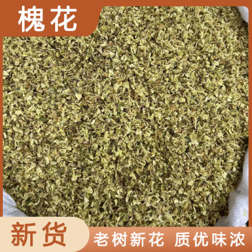 槐花药用干净无硫各种中药材批发零售各种规格欢迎选购