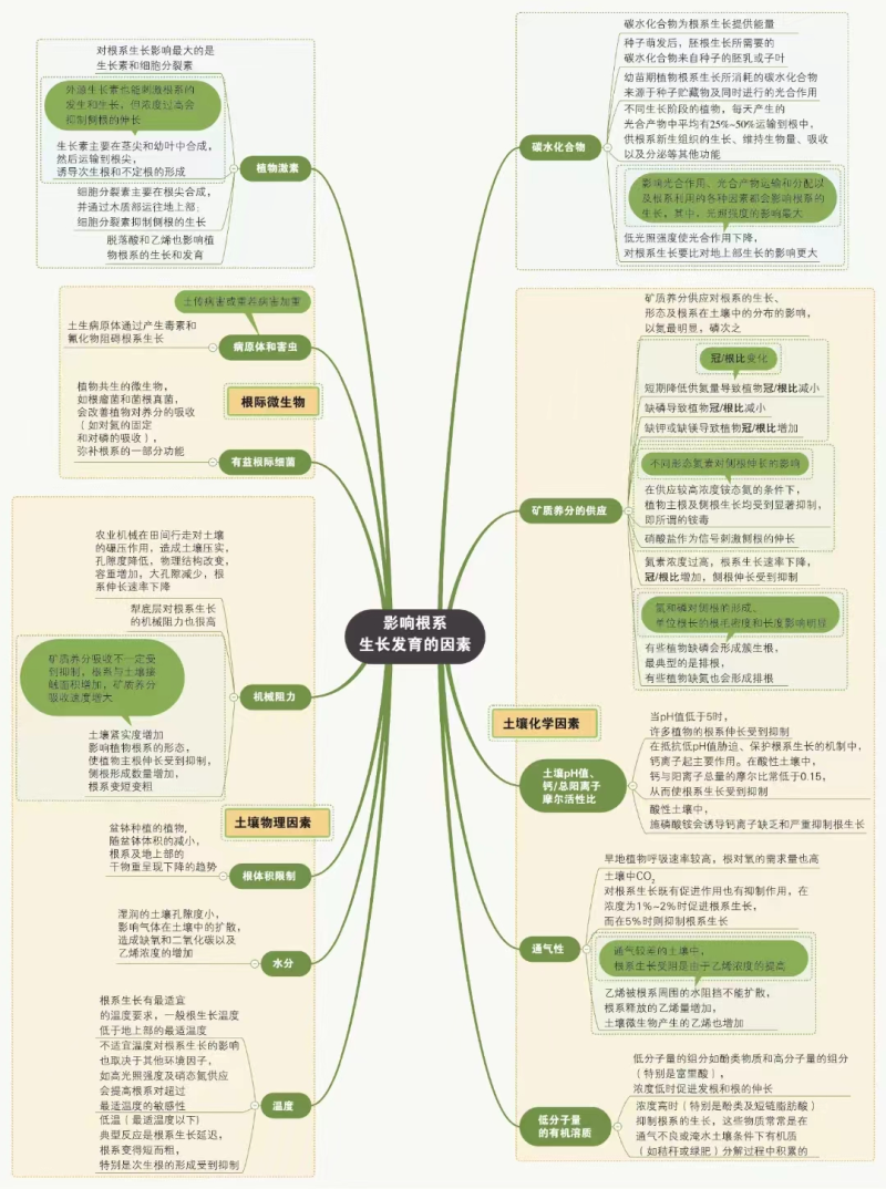 （生根粉）包邮强力生根，微量元素水溶肥，质量有保障