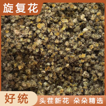 中药材旋覆花旋复花金佛草花