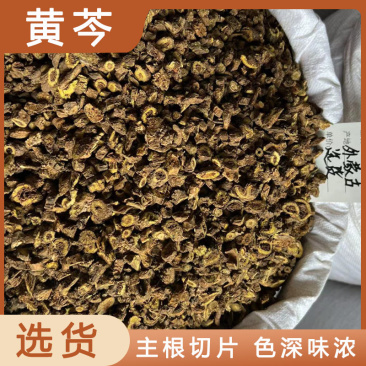 黄芩切片干货量大从优欢迎选购新货颜色好