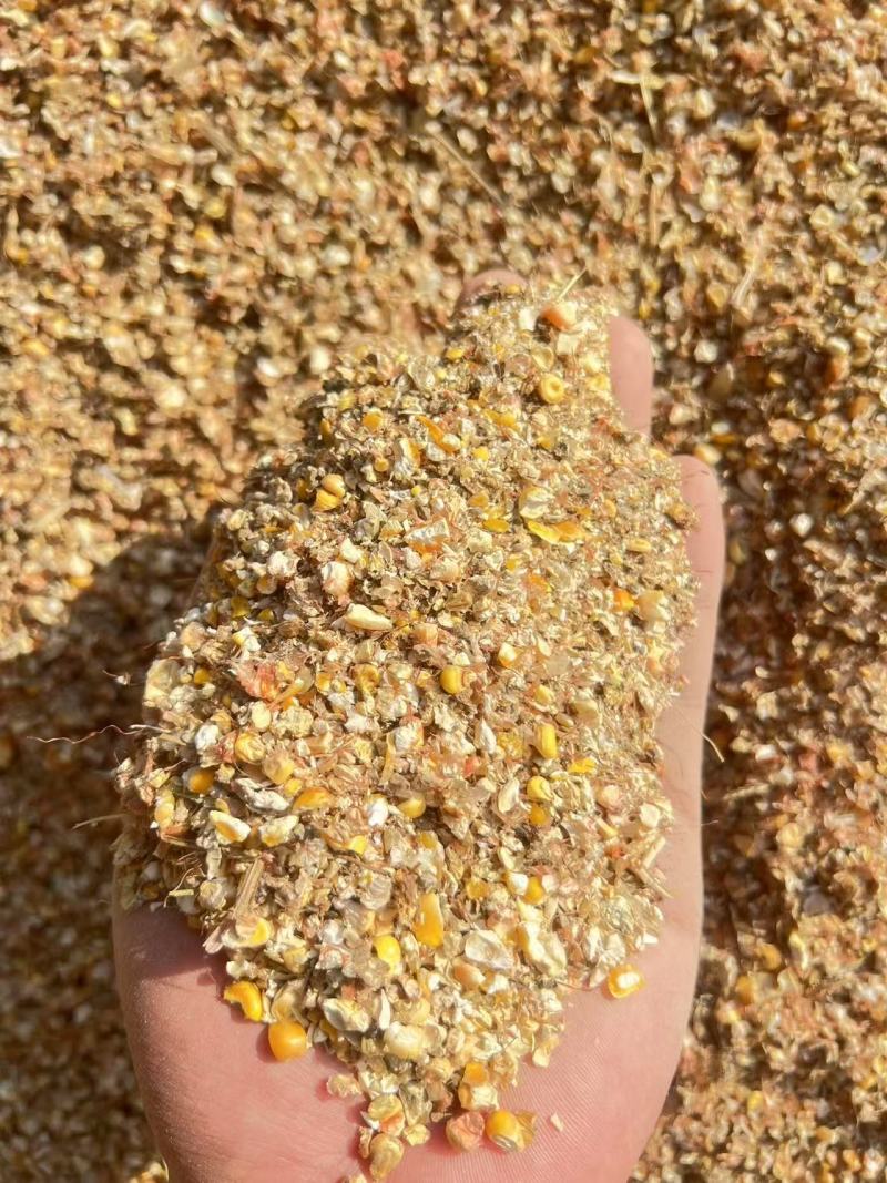 精品碎玉米货源充足大量供货价格实惠欢迎全国各地采购商咨询