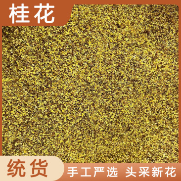 桂花桂花干各种规格无硫净货一斤起批