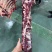 【推荐】鲜牛吊龙厂家直发新鲜牛吊龙品质保障欢迎致电