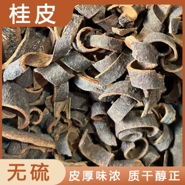 官桂调料桂皮药食同源油桂皮