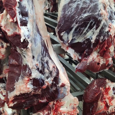 【推荐】精品牛后腿肉鲜牛后腿肉保质保质量支持市场欢迎