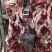 【推荐】精品牛后腿肉鲜牛后腿肉保质保质量支持市场欢迎