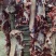 【推荐】精品牛后腿肉鲜牛后腿肉保质保质量支持市场欢迎