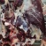 【推荐】精品牛后腿肉鲜牛后腿肉保质保质量支持市场欢迎