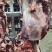【推荐】精品牛后腿肉鲜牛后腿肉保质保质量支持市场欢迎