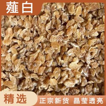 薤白产地直供过筛干净干货无硫中药材量大从优
