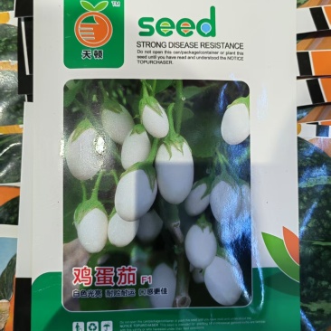 鸡蛋茄种子抗病高产,早熟白蛋茄种子白圆茄子种子