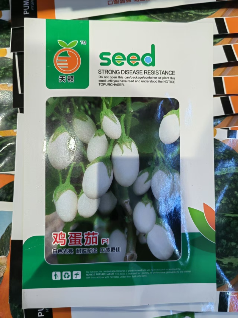 鸡蛋茄种子抗病高产,早熟白蛋茄种子白圆茄子种子