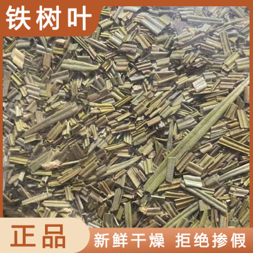 铁树叶中药材铁树叶新货颜色好干净全部实物拍摄放心购买
