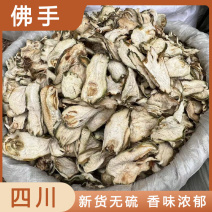 佛手新货无硫无熏蒸产地直供实拍现货质量保证