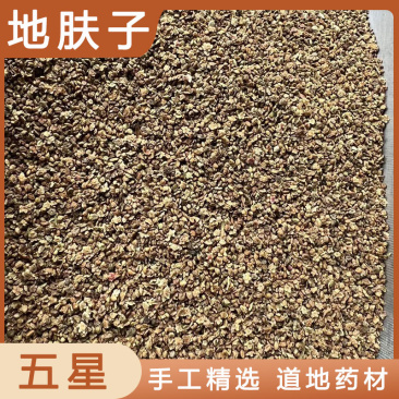 地肤子批发零售各种规格中药材地肤子中药材