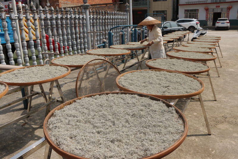 精品莓茶，品质保证，口感醇厚，全国可发