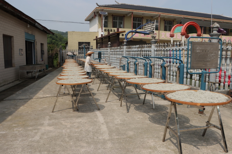 精品莓茶，品质保证，口感醇厚，全国可发