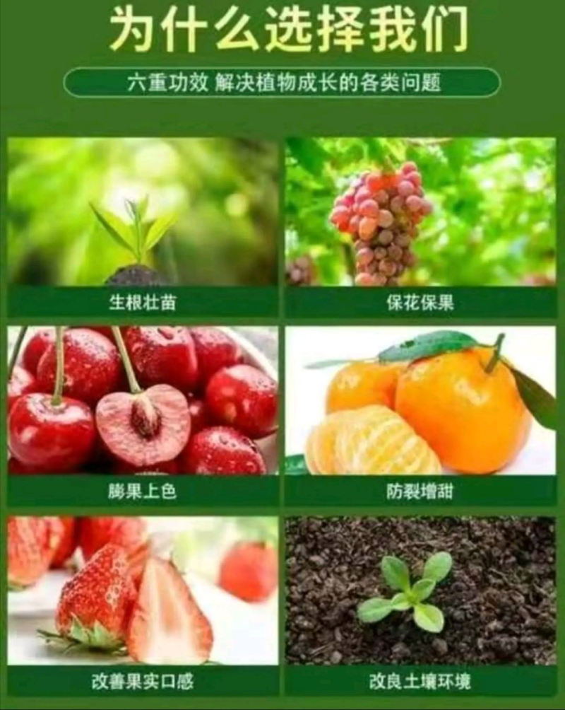 【活性菌发酵鸡粪】99%，农家肥，底肥。销往全国各地