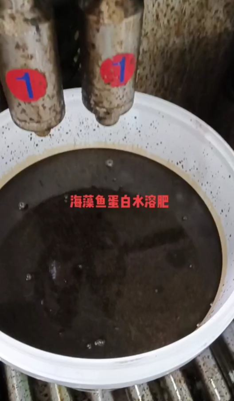 【海藻鱼蛋白水溶肥】河北邯郸包邮，冲施肥，滴灌喷施