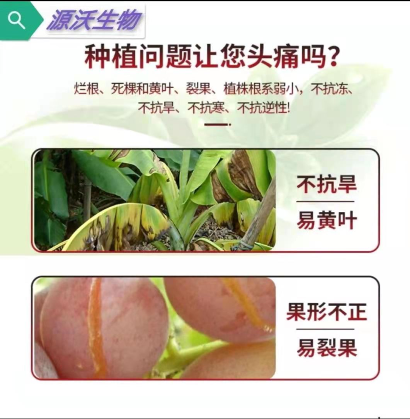 《黄腐酸钾鱼蛋白》包邮，水溶肥价格优惠生根壮苗，厂家