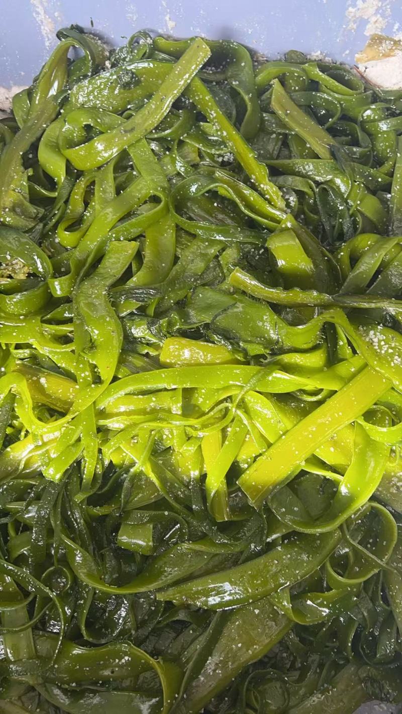 盐渍裙带菜承接加工餐饮食堂批发市场进出口酒店常年有货