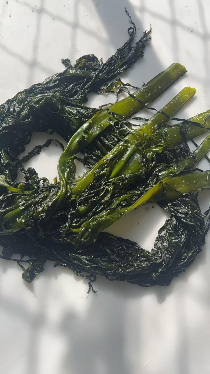盐渍裙带菜承接加工餐饮食堂批发市场进出口酒店常年有货