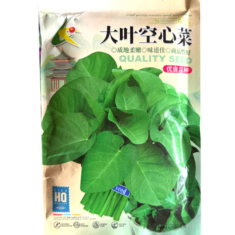 大叶空心菜种子200g原装耐高温高湿耐肥