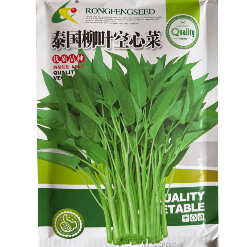 泰国柳叶空心菜种子200g原装竹叶空心菜种子