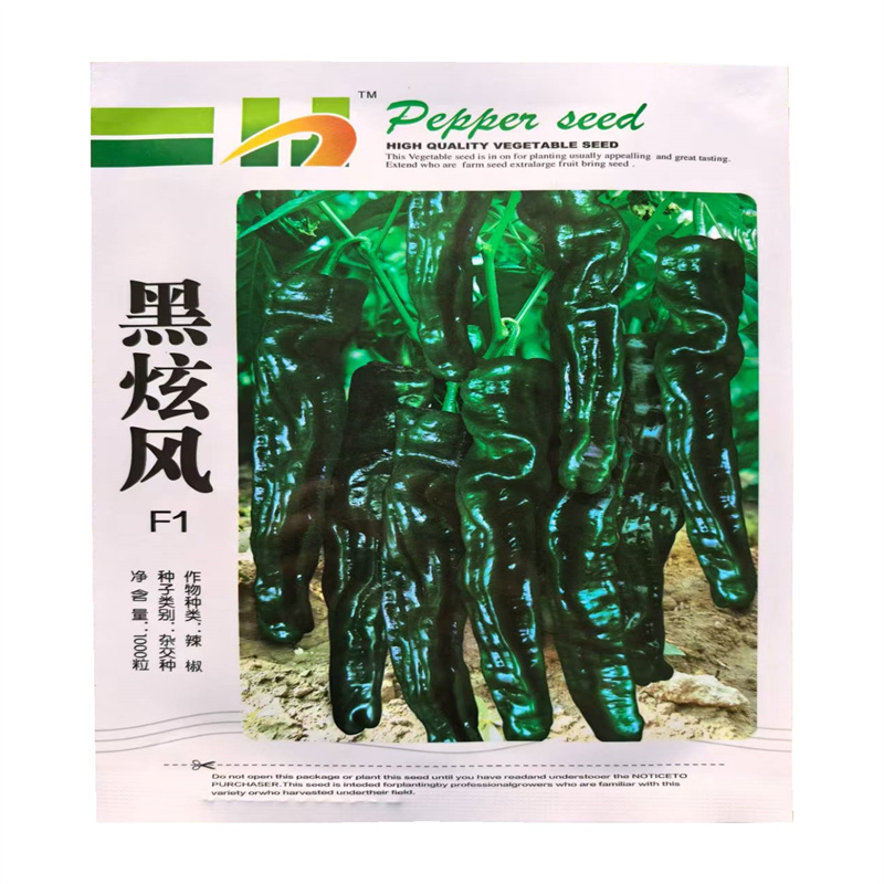 黑炫风种子中早熟大黑皱皮辣椒种子皱皮椒种子