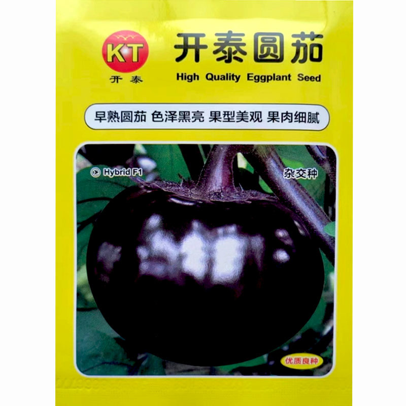 开泰圆茄种子超大果型色泽黑亮果肉细腻高产育苗厂基地