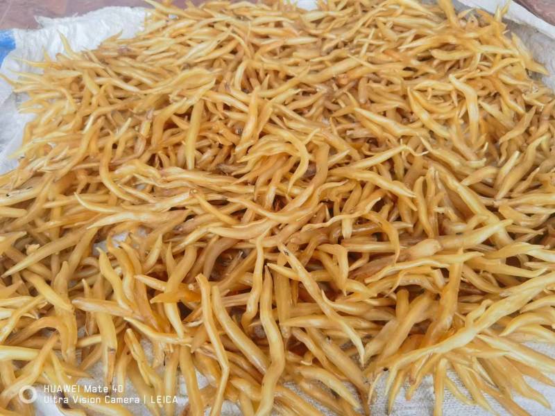 【推荐】云南楚雄天冬品质保证产地直供量大从优