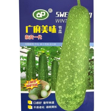广府美味节瓜种子50粒原装软皮绿肉节瓜种子采收期长