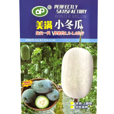 美满小冬瓜种子50粒装粉皮小冬瓜种子早熟上粉快