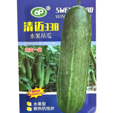 清迈水果吊瓜种子10g原装中早熟耐热品种抗病