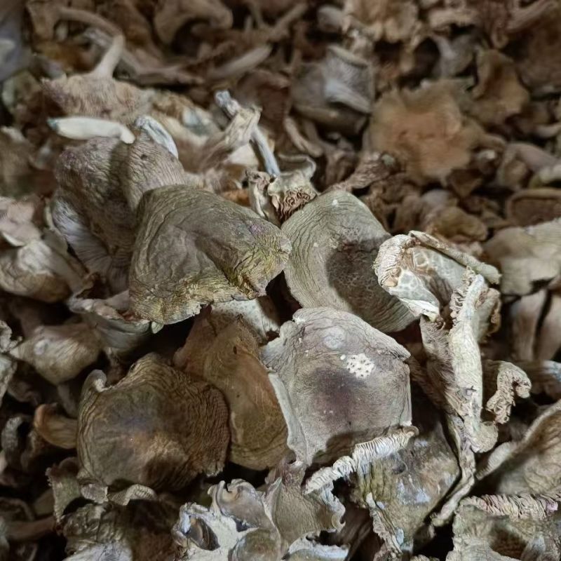 云南青头菌青头菌青头菌干货