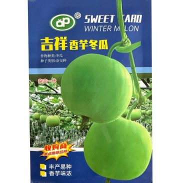 吉祥香芋冬瓜种子50粒原装中早熟杂交一代香芋味浓郁
