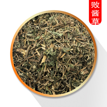败酱草统装录建药材栈量大从优一手货源