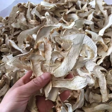 松茸白松茸干片白松茸干批发