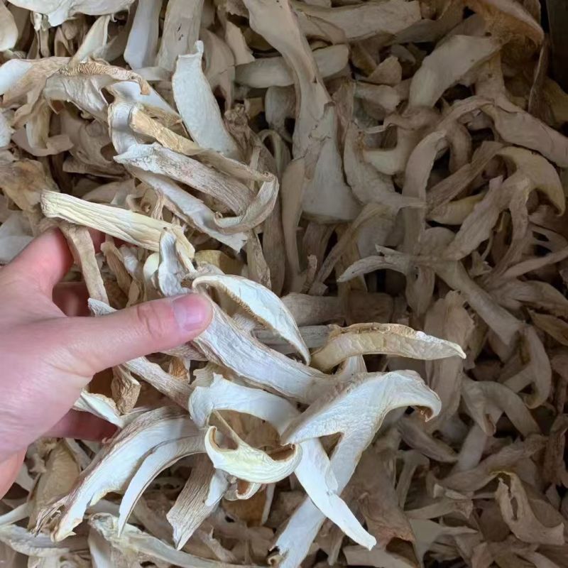 松茸白松茸干片白松茸干批发