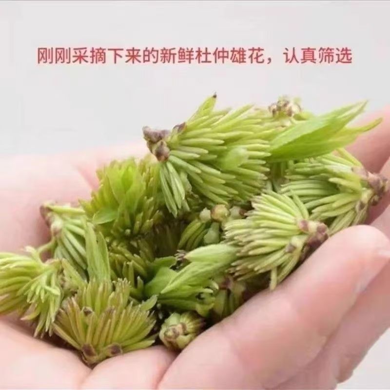 杜仲雄花茶杜仲雄花蕊杜仲雄花批发