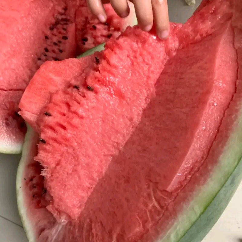 抗病重茬霸王西瓜种子果实椭圆果肉大红黑花皮西瓜种子