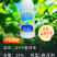 25%多效唑植物生长调节剂控旺调节生长