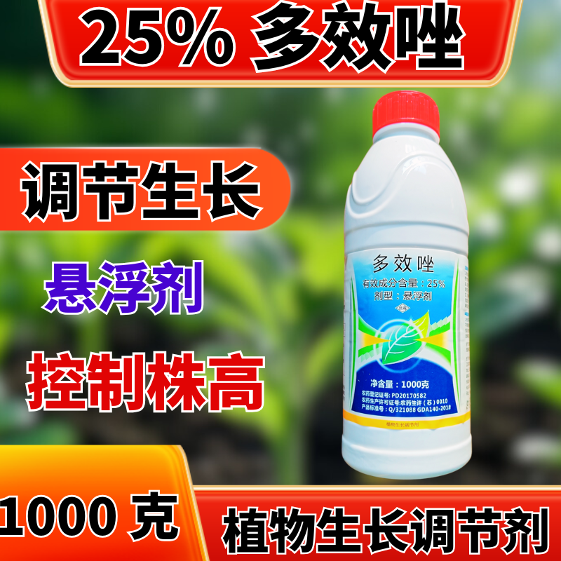 25%多效唑植物生长调节剂控旺调节生长
