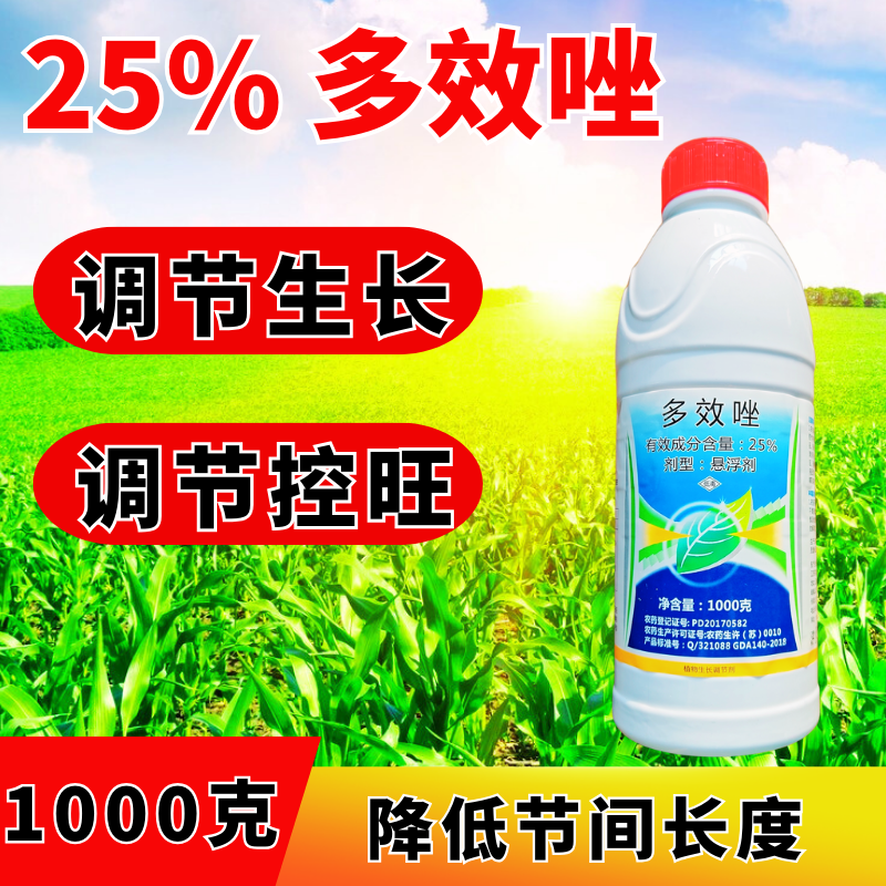 25%多效唑植物生长调节剂控旺调节生长