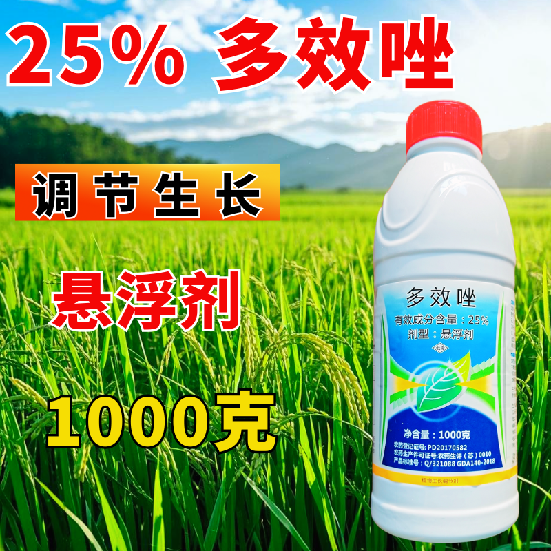 25%多效唑植物生长调节剂控旺调节生长