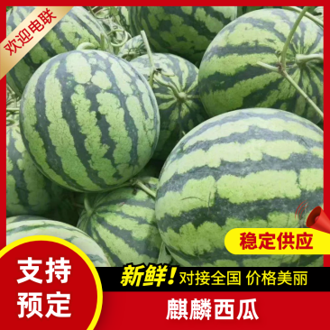 河南8424西瓜精品麒麟西瓜对接电商市场商超