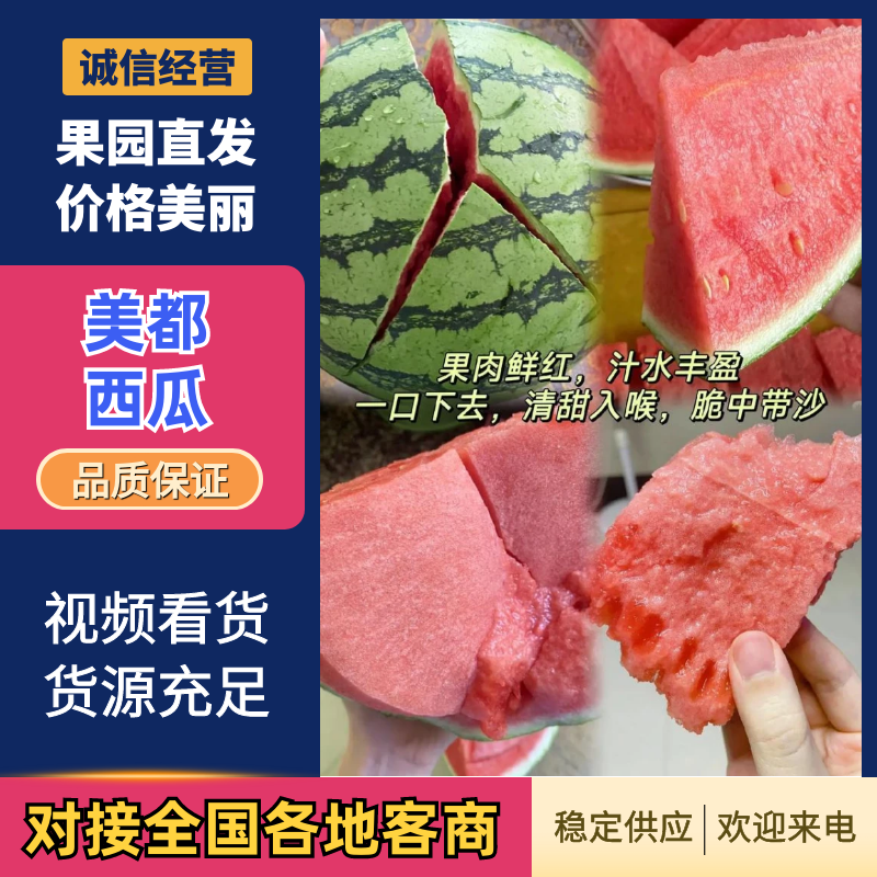 雷州二茬美都西瓜精品西瓜产地一手货源对接电商市场超